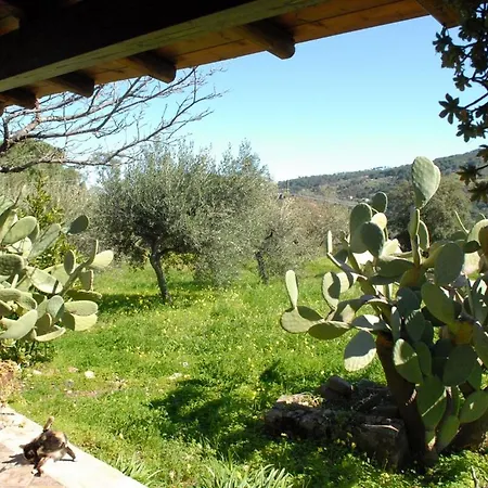 Chalet Parco Delle Madonie * Cefalù